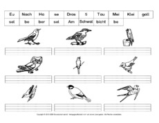 Silben-zusammensetzen-Tiere-Vögel.pdf